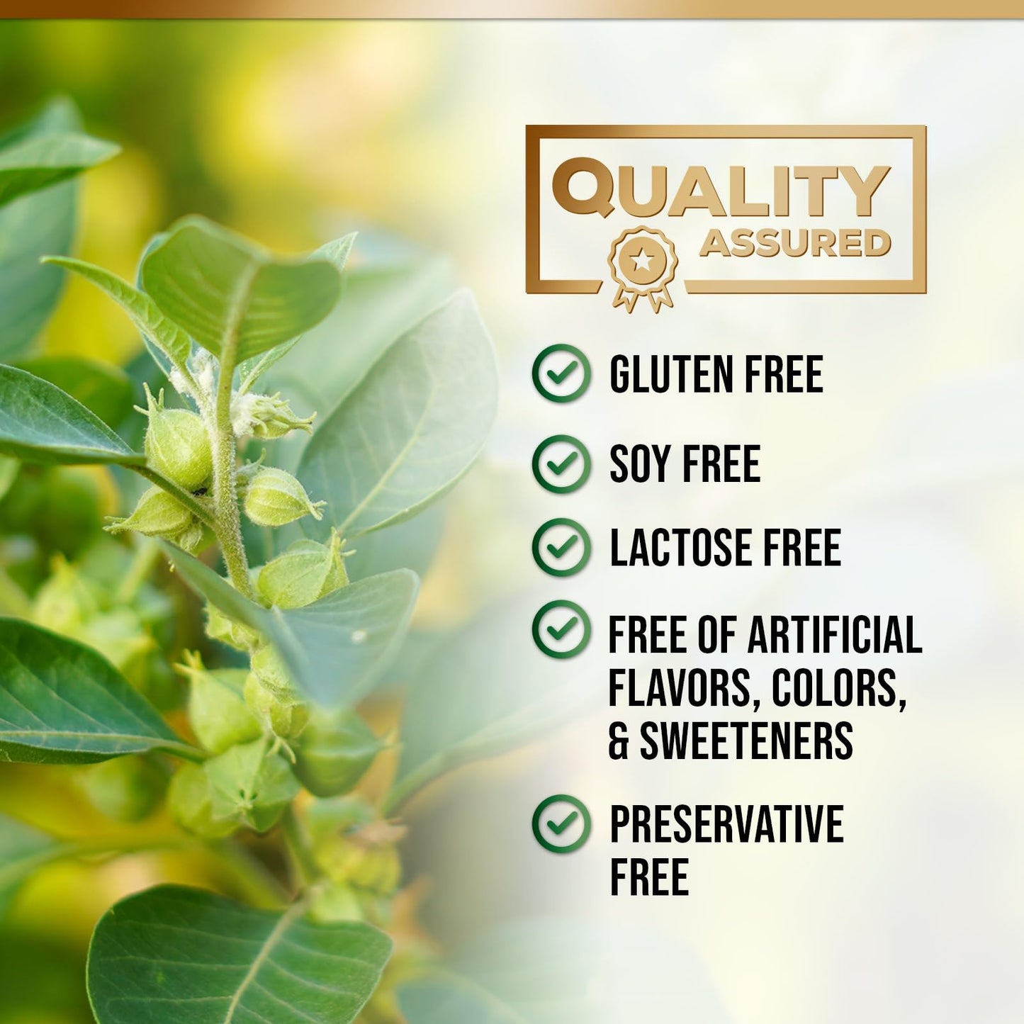Nature's Nutrition 1300mg adaptogen herbal blend product detail view