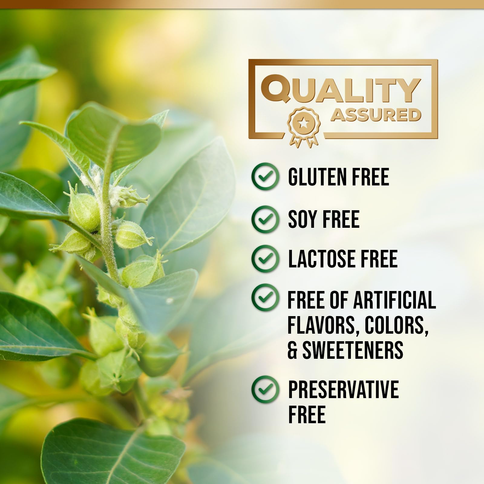 Nature's Nutrition 1300mg adaptogen herbal blend product detail view