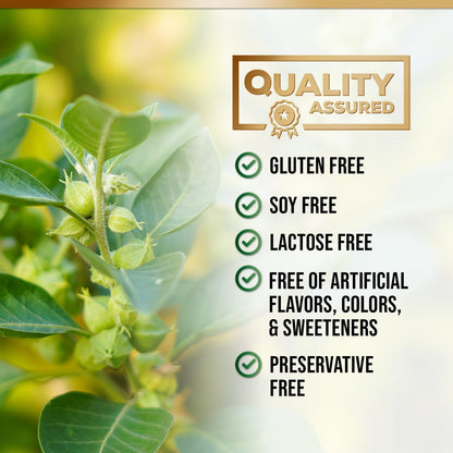 Nature's Nutrition 1300mg adaptogen herbal blend product detail view