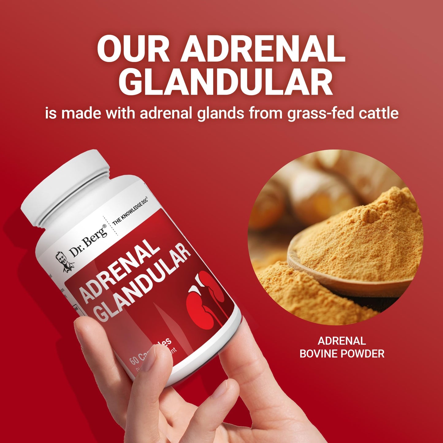 Dr. Berg Adrenal Glandular dietary supplement capsules bottle on clean background