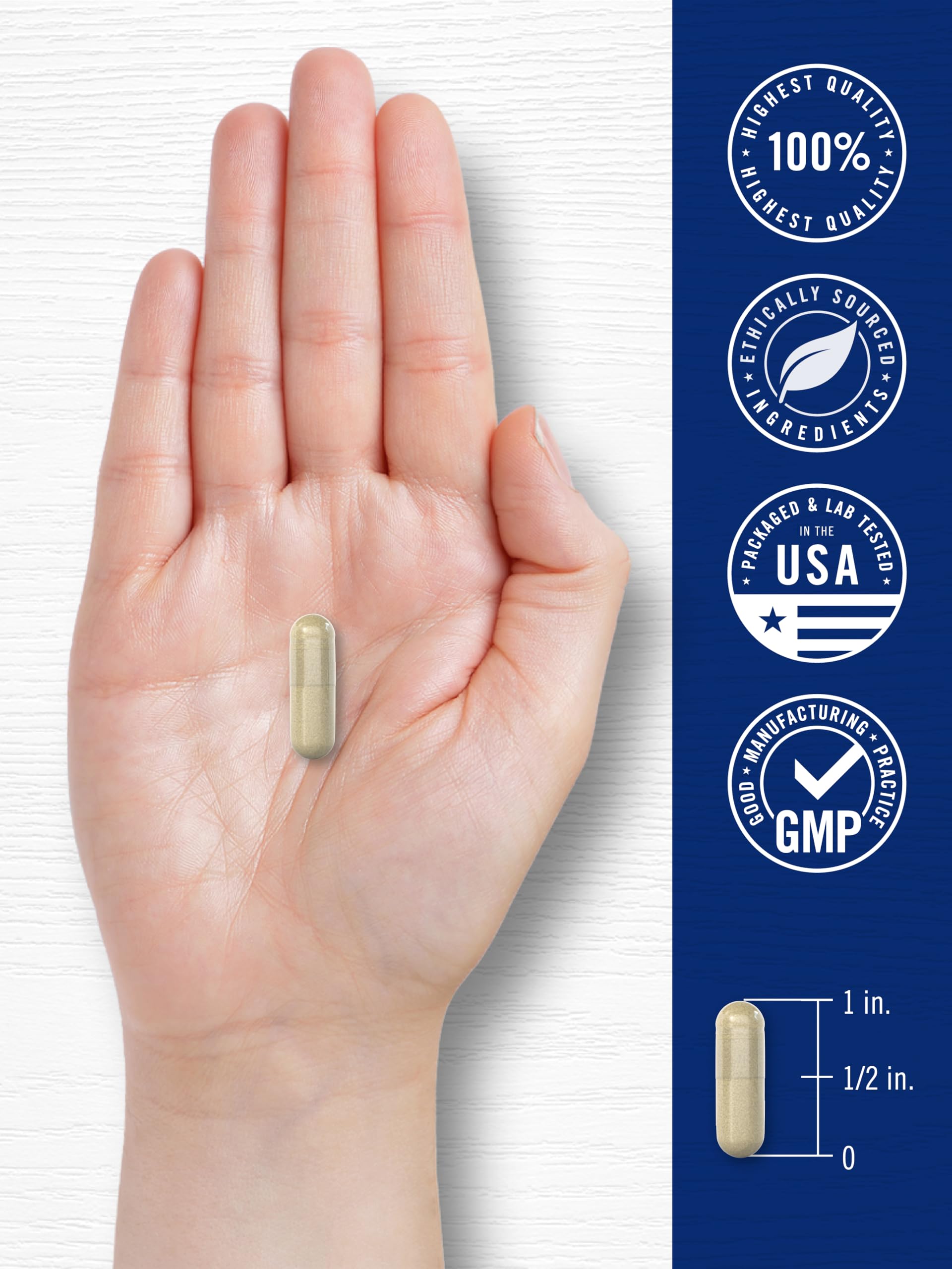 Carlyle premium cortisol support dietary supplement for calming wellness routine