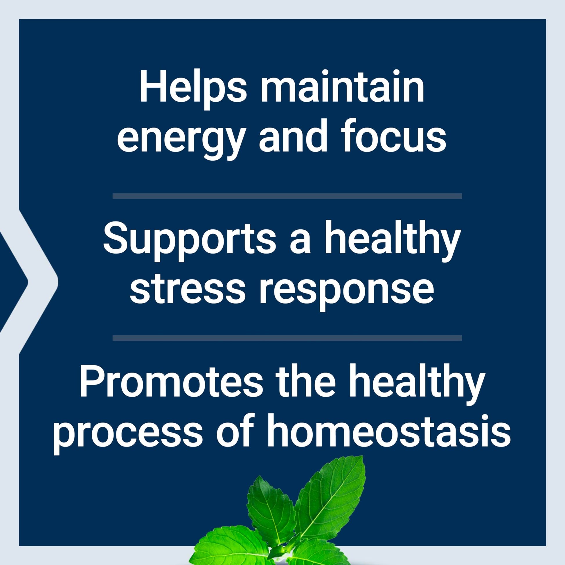 Life Extension Adrenal Energy Formula stress support capsules close up layout