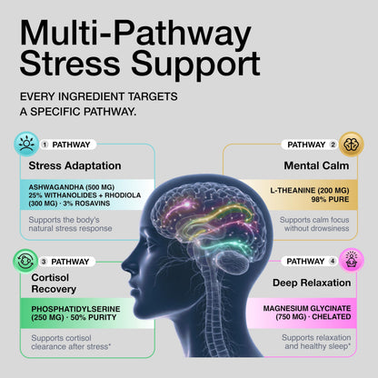 Third party lab tested Toniiq mood and sleep support capsules layout.