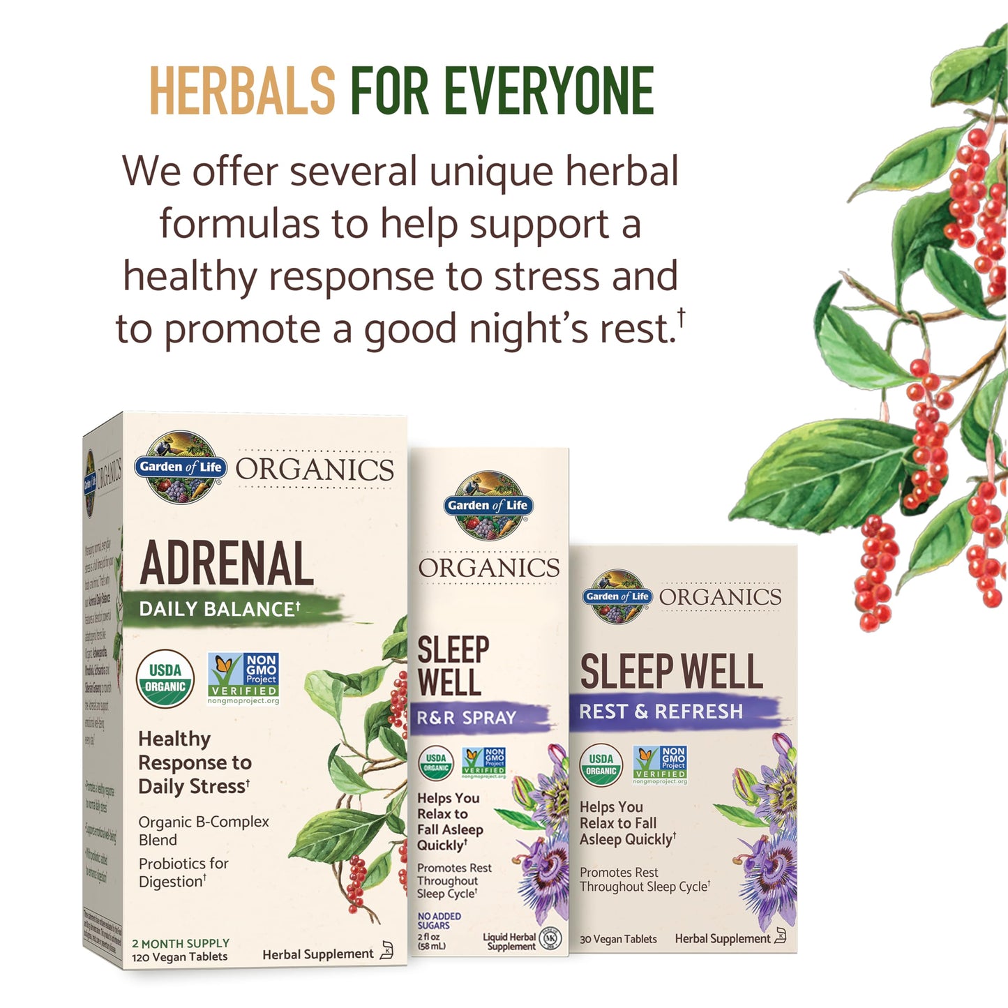 Top view of the packaging for imported Garden of Life adrenal balance supplements showing a two month supply.