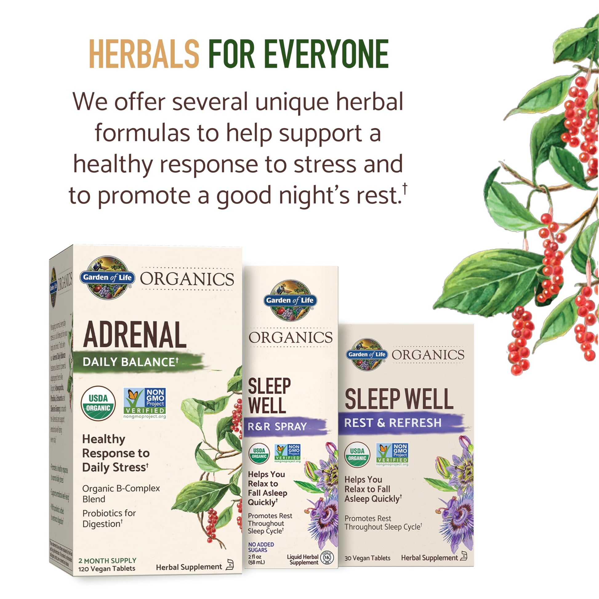 Top view of the packaging for imported Garden of Life adrenal balance supplements showing a two month supply.