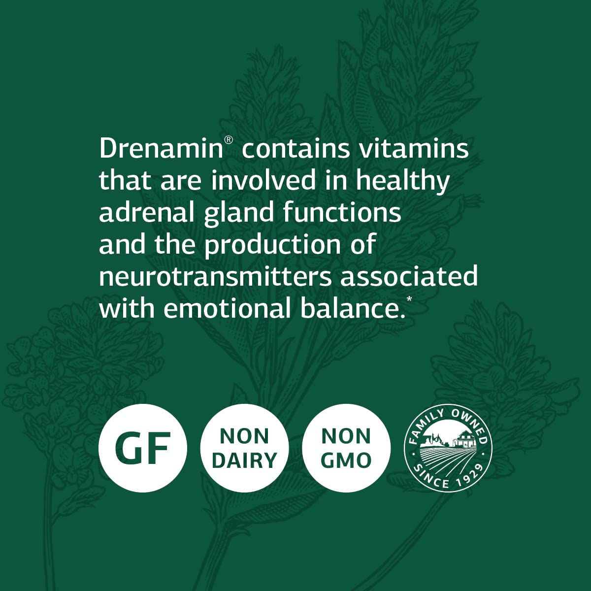 Authentic USA imported Standard Process Drenamin 3651 supplement bottle seal