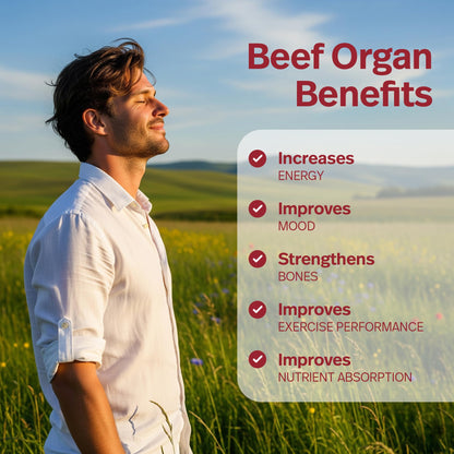 Teraputics premium grass-fed non-GMO beef organ capsules lifestyle bottle placement