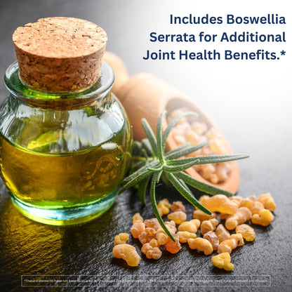 InvigoFlex GS joint support caplets dietary supplement facts panel