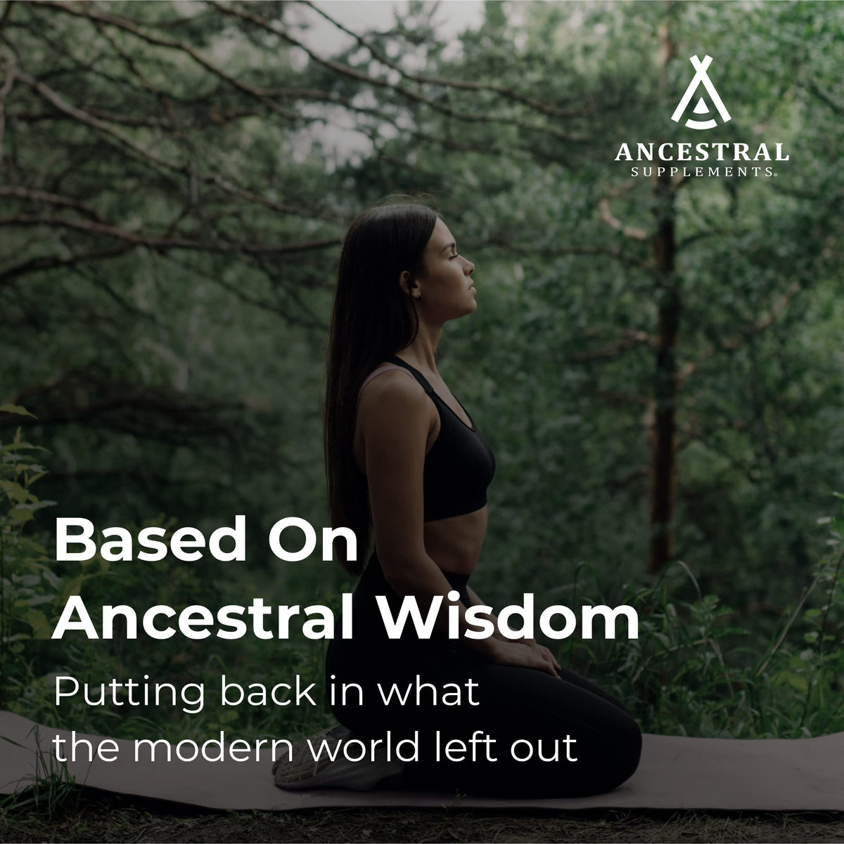 Ancestral Supplements Grass Fed Beef Lung capsules macro view
