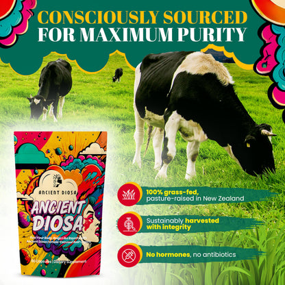Ancient Diosa pasture raised beef liver freeze dried capsules capsule size presentation