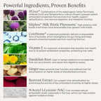 Supplements for liver health featuring Siliphos milk thistle and dandelion root ingredients list.