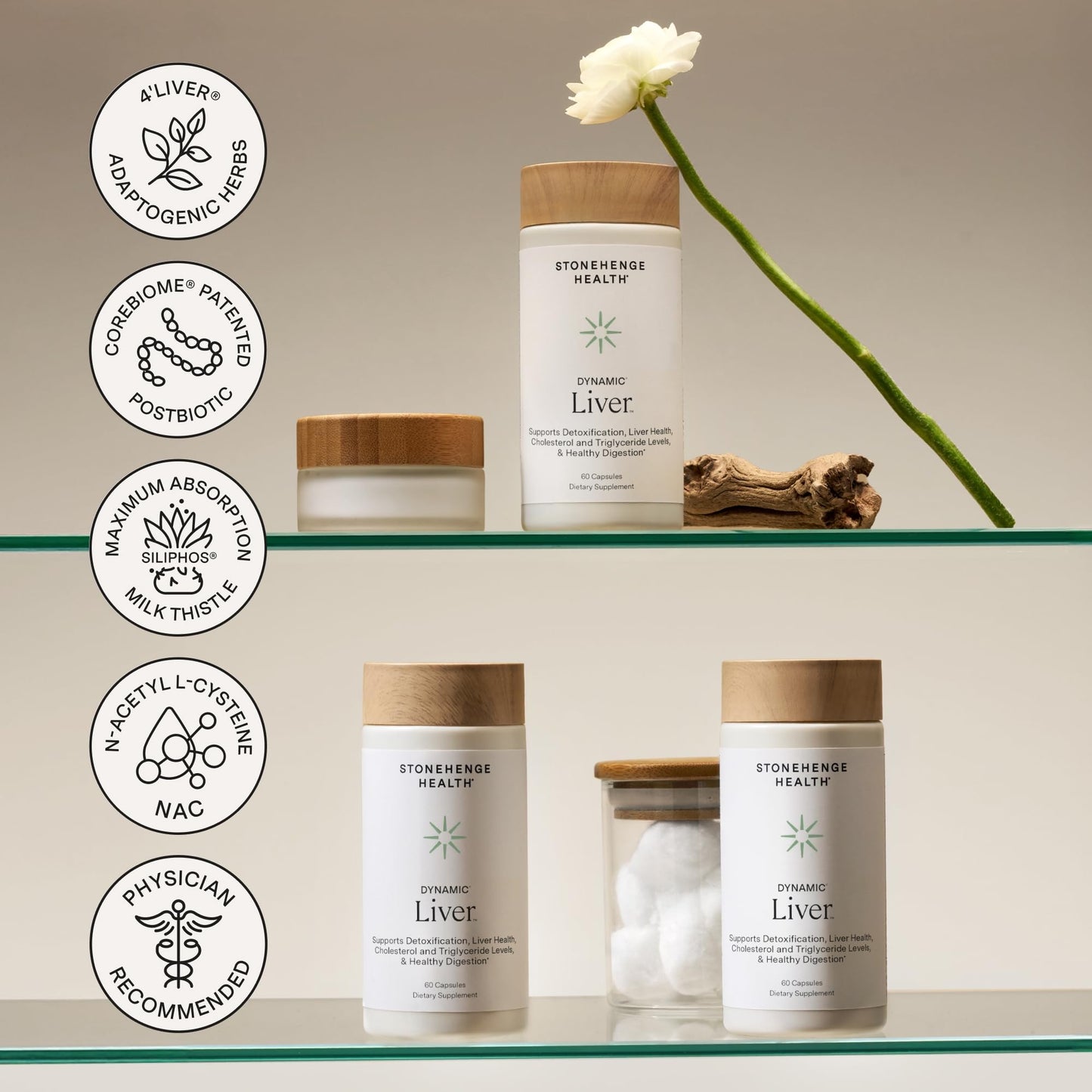 Premium milk thistle phytosome supplement for optimal digestive and cholesterol wellness.