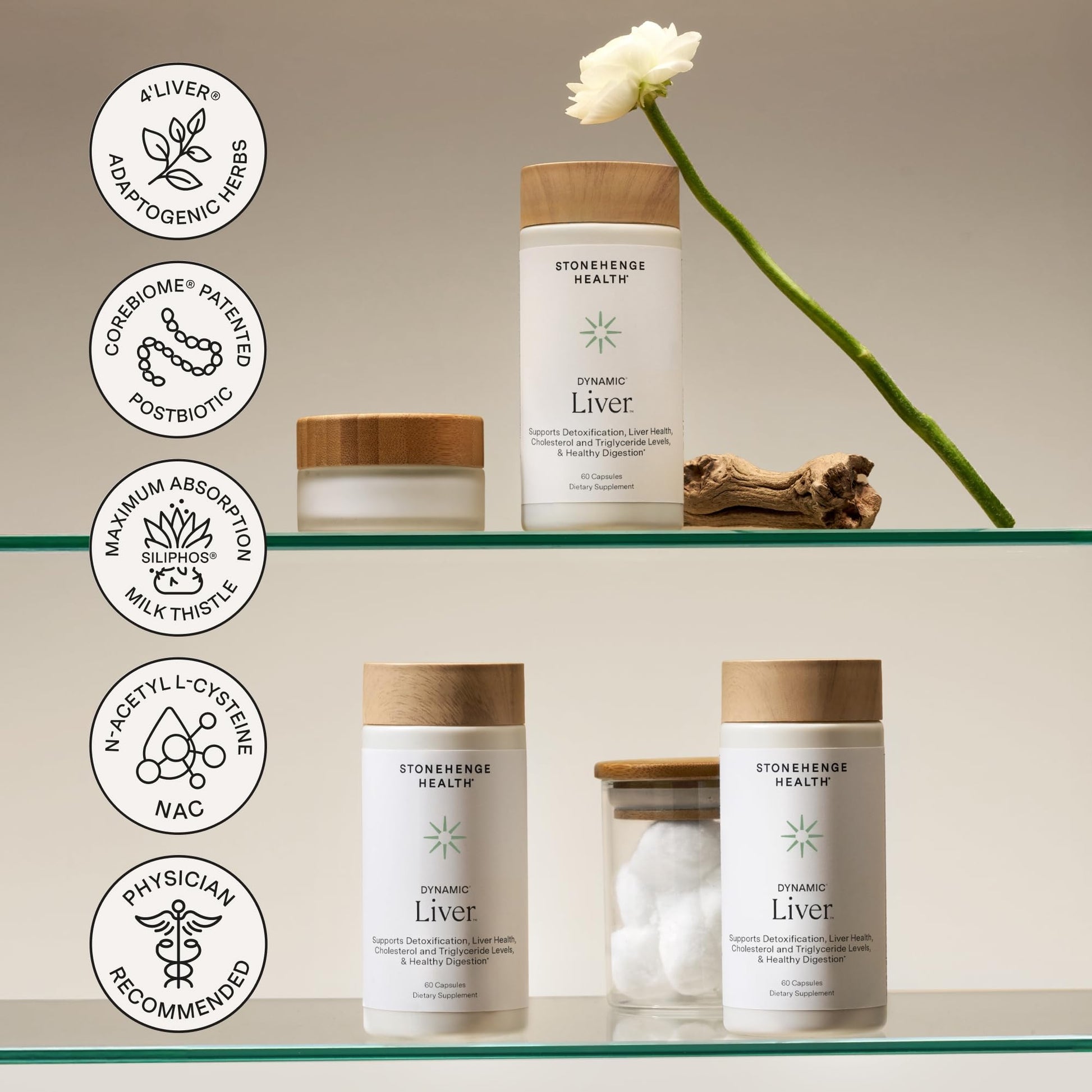 Premium milk thistle phytosome supplement for optimal digestive and cholesterol wellness.