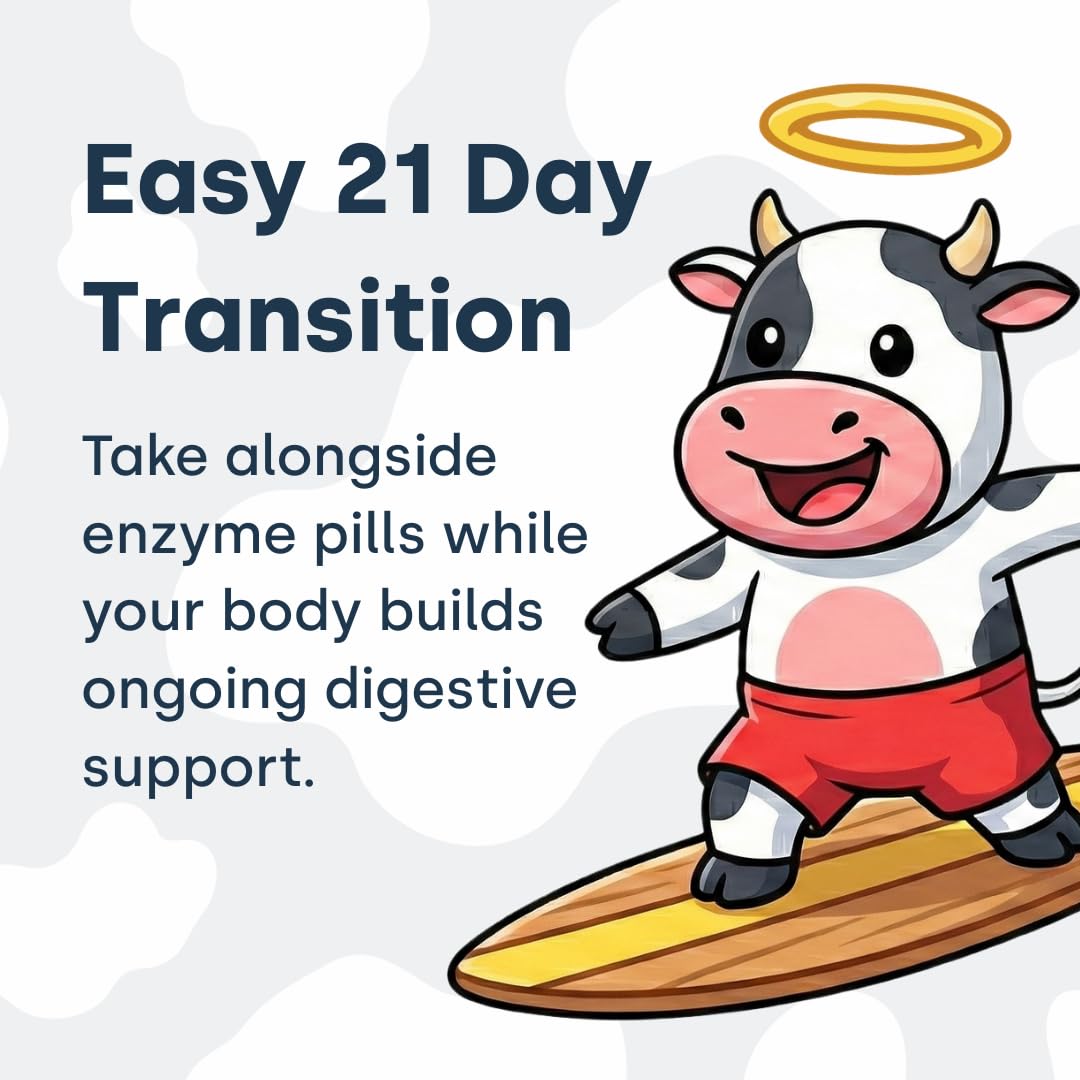 Authentic USA imported daily lactase enzyme alternative capsule bottle for gas and bloating defense