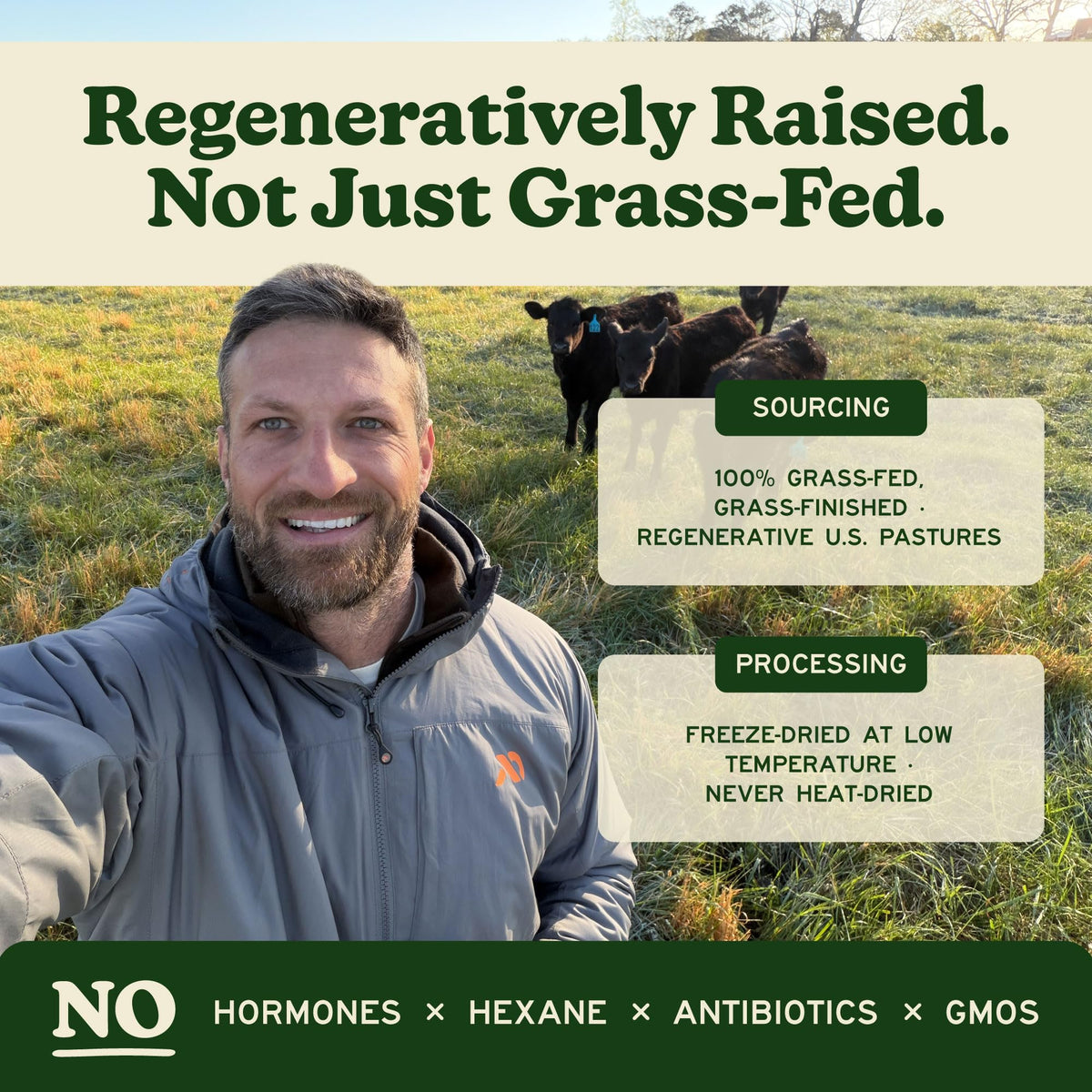 MK Supplements Grass Fed Beef Liver freeze dried process graphic