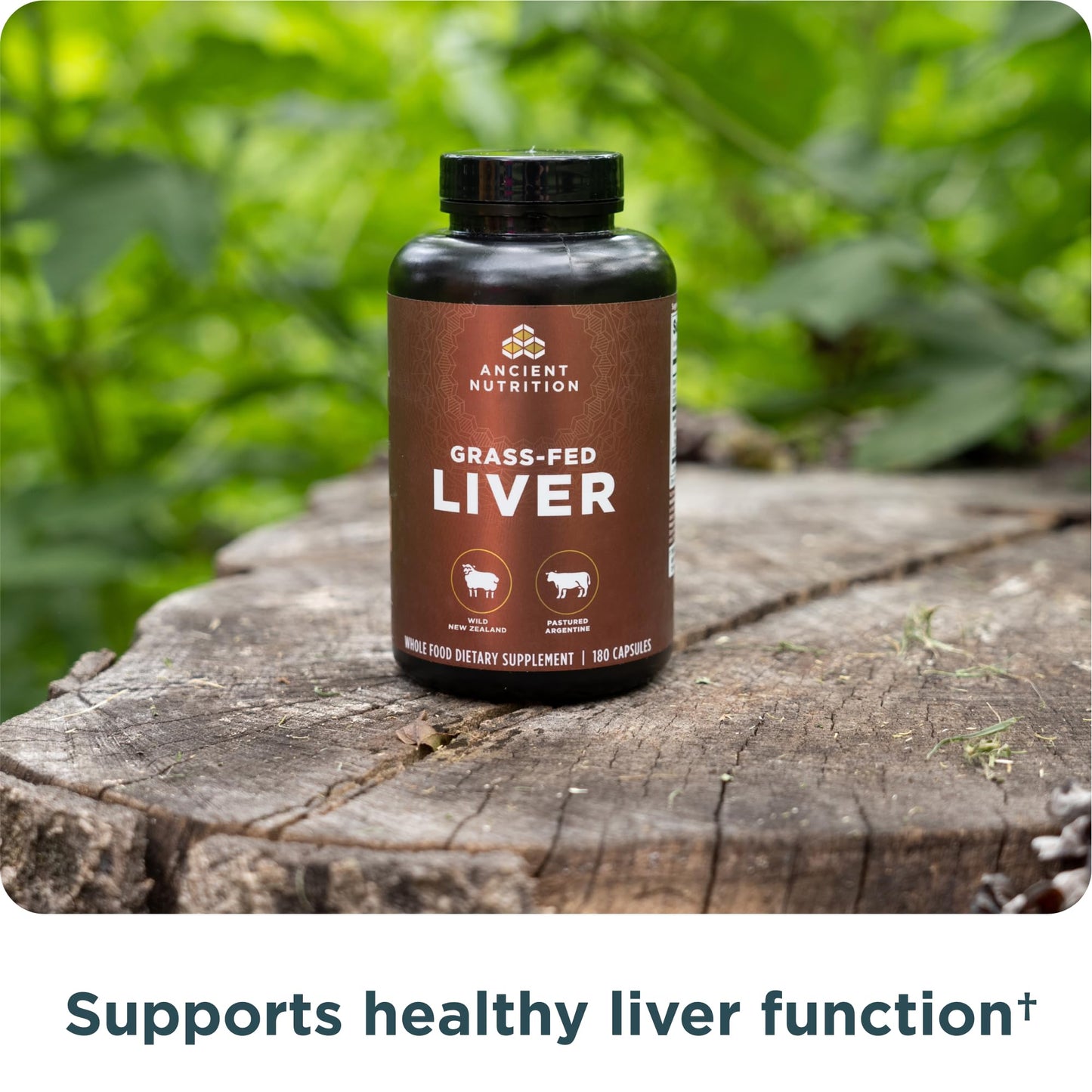 Imported authentic USA dietary organ supplement packaging details.