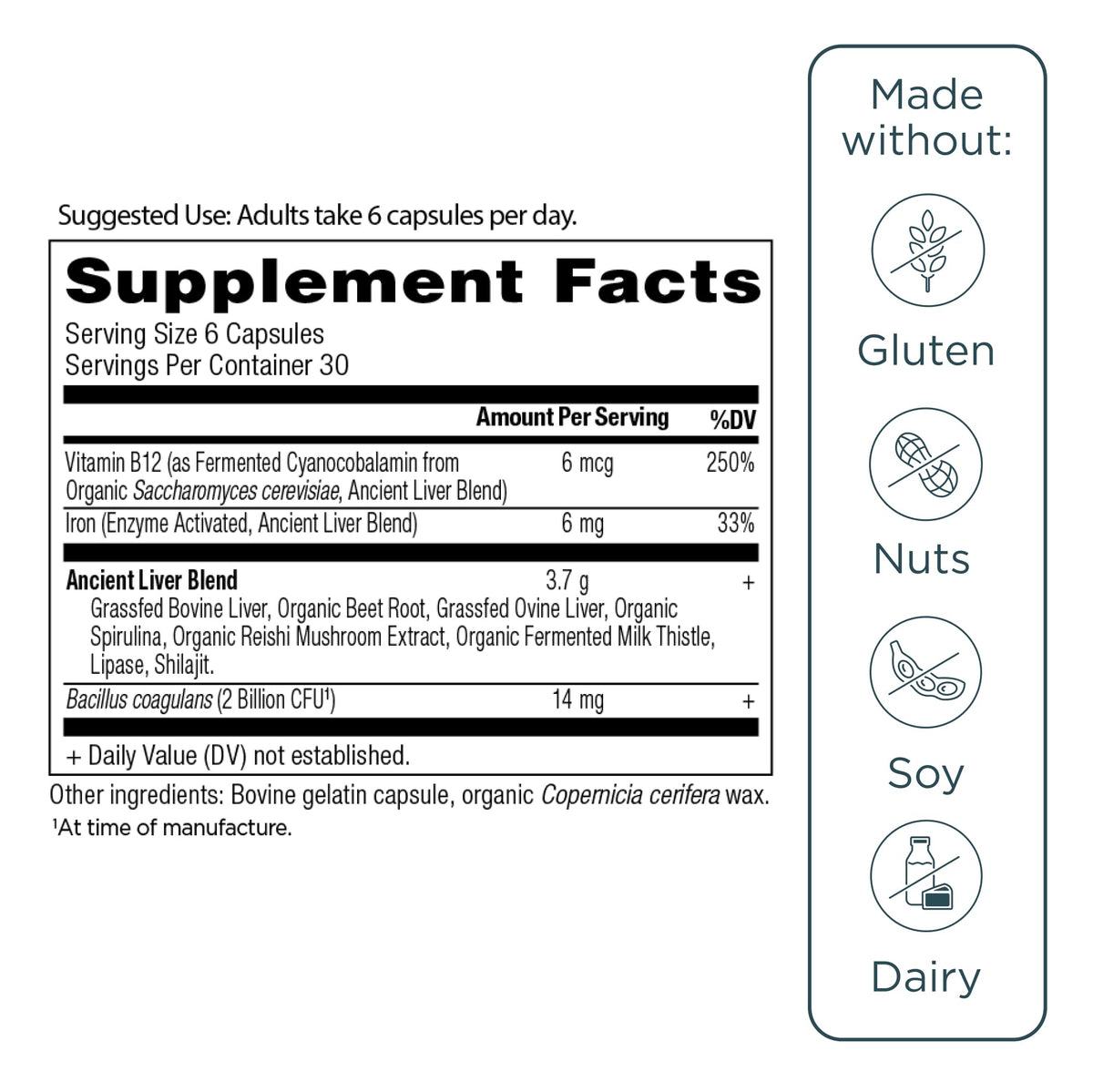 Ancient Nutrition supplement capsules close up texture view