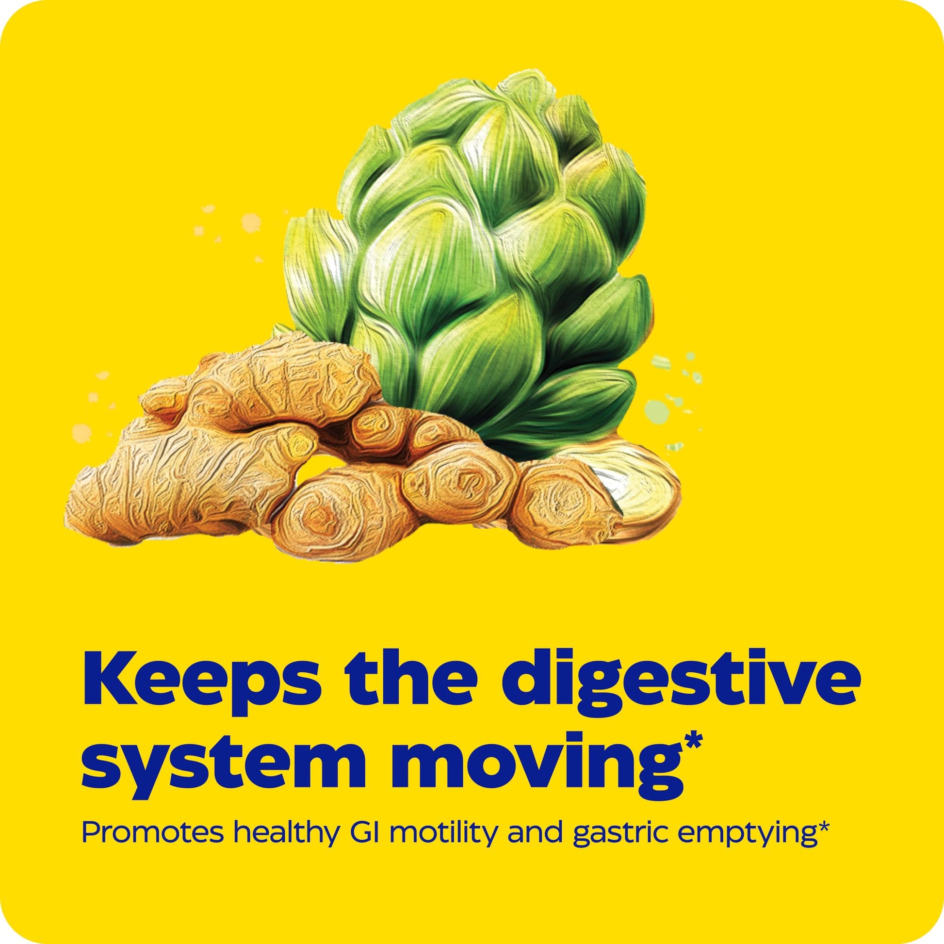 Enzymedica ProDigest artichoke and ginger extract supplement bottle angled display view