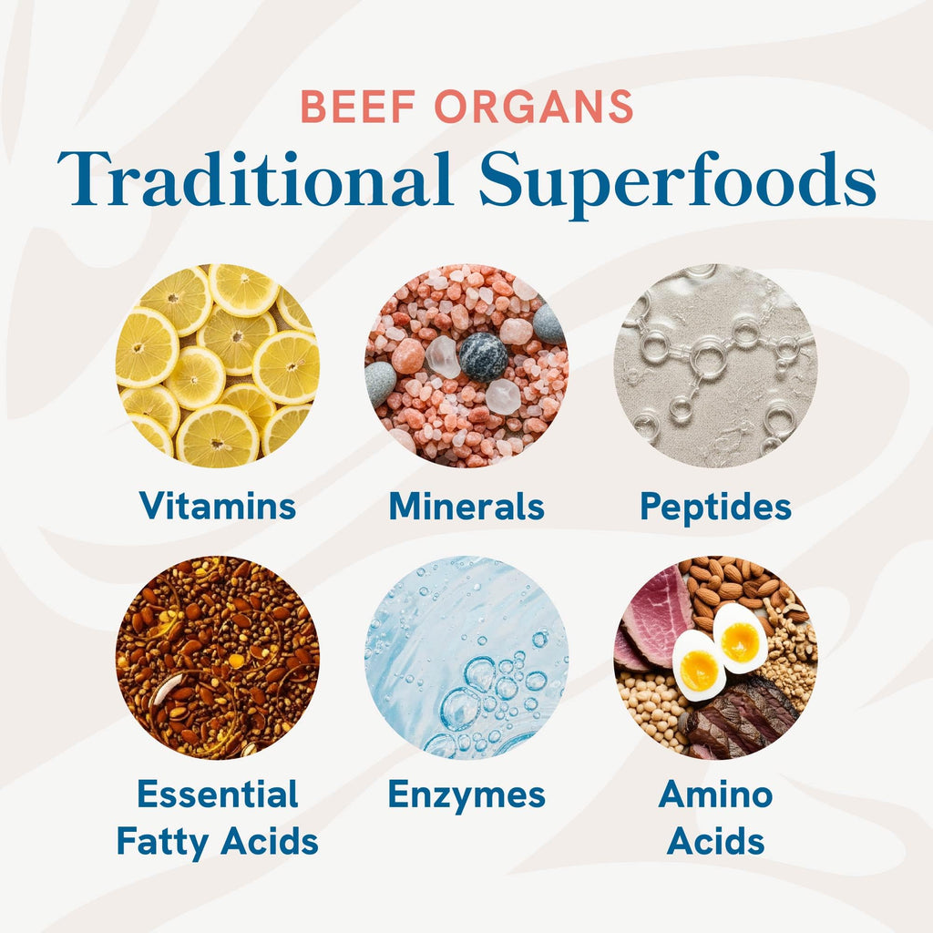 New Zealand sourced cattle organ complex supplement lifestyle view