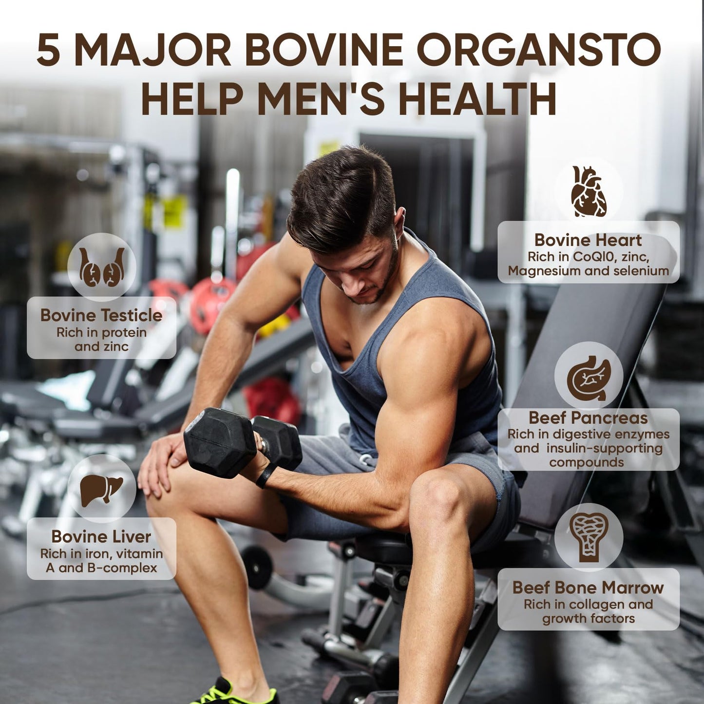 Forgebody grass-fed beef organ capsules nutritional information