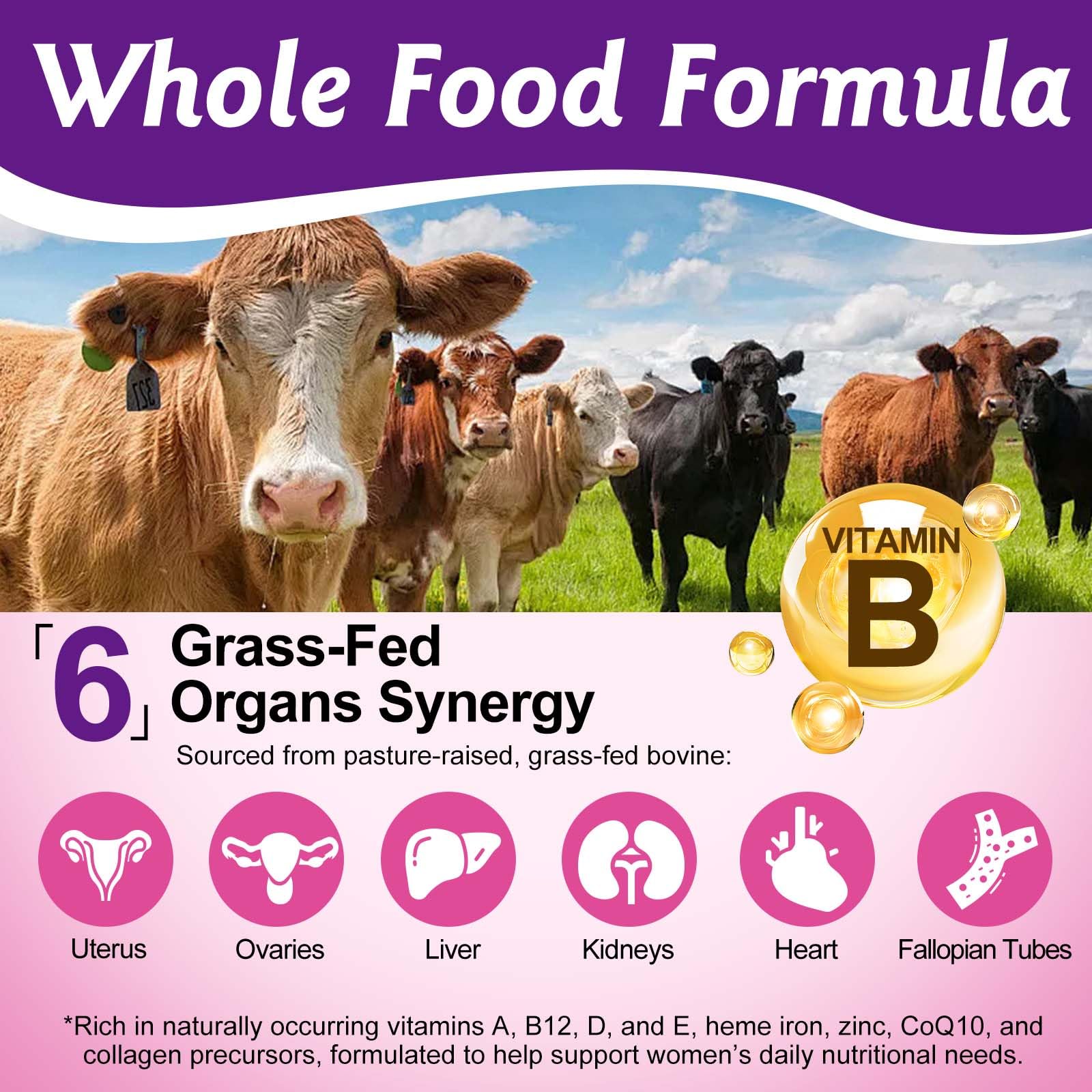 Vortexonix grass fed beef organ supplement 2 pack packaging