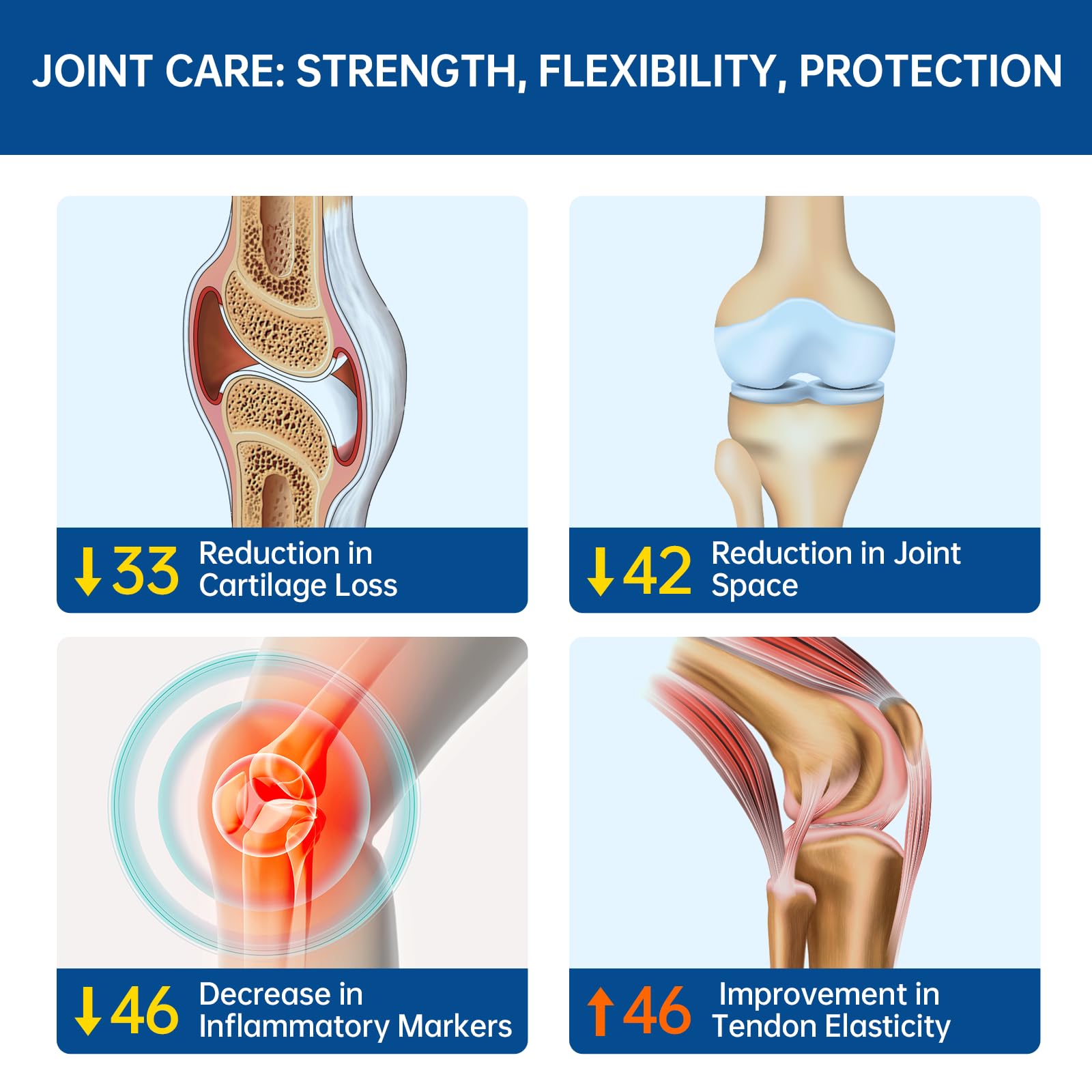 Low purine joint care formula capsules by Purmeo close up display
