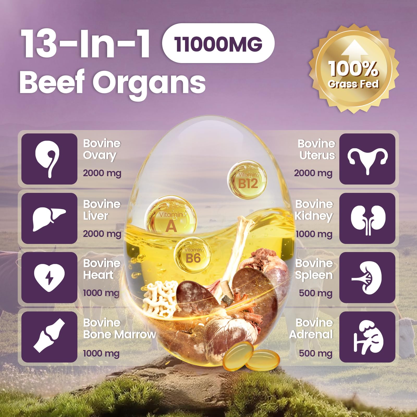 VivoNu 11,000mg grass-fed beef organs bottle label