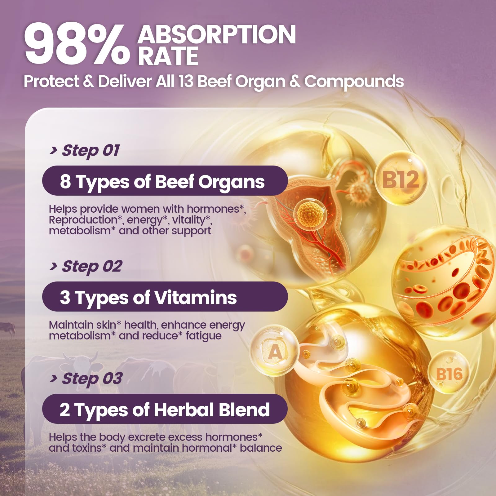 Side view of VivoNu beef organ supplement softgels container