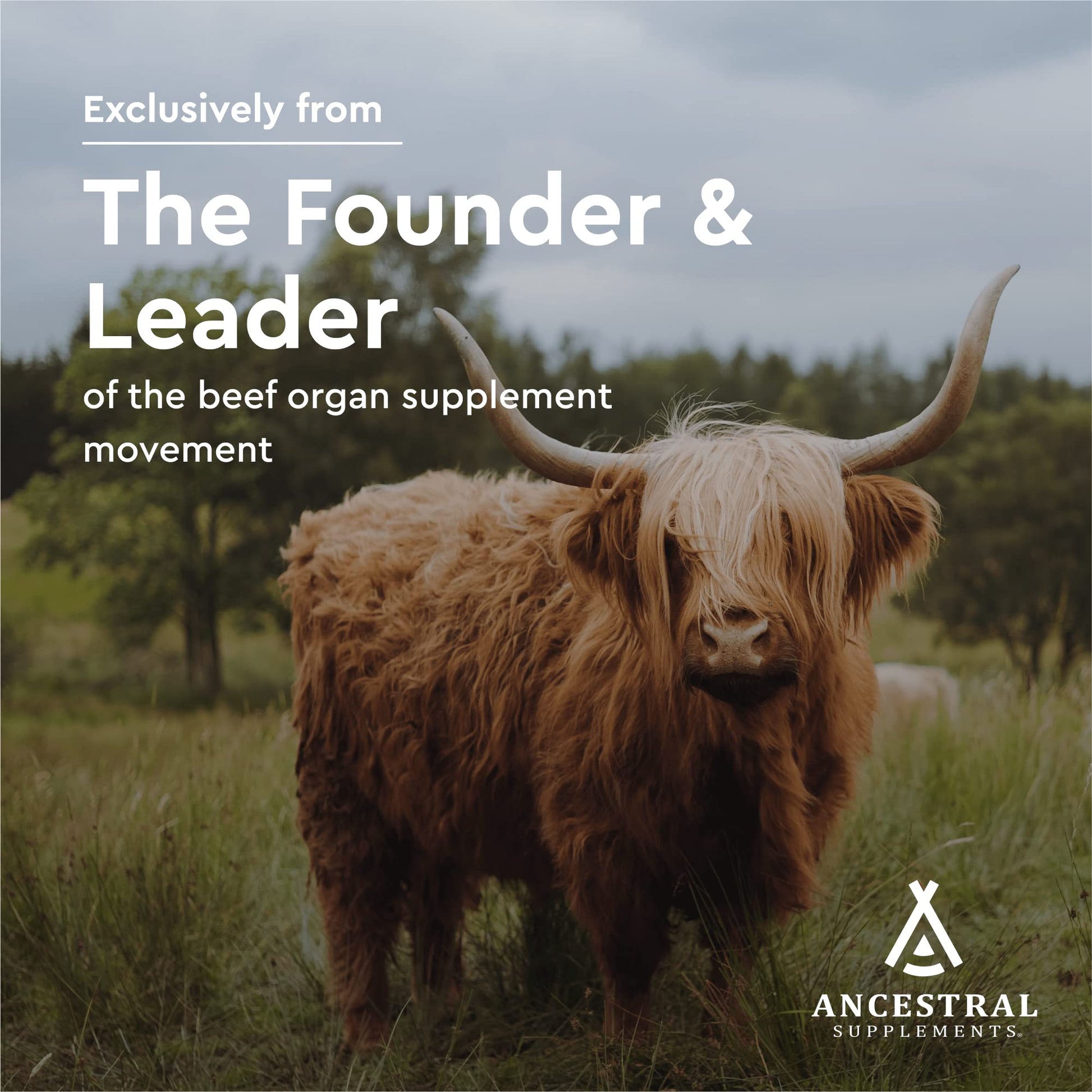 Grass-fed bovine gallbladder supplement from New Zealand pasture cattle.