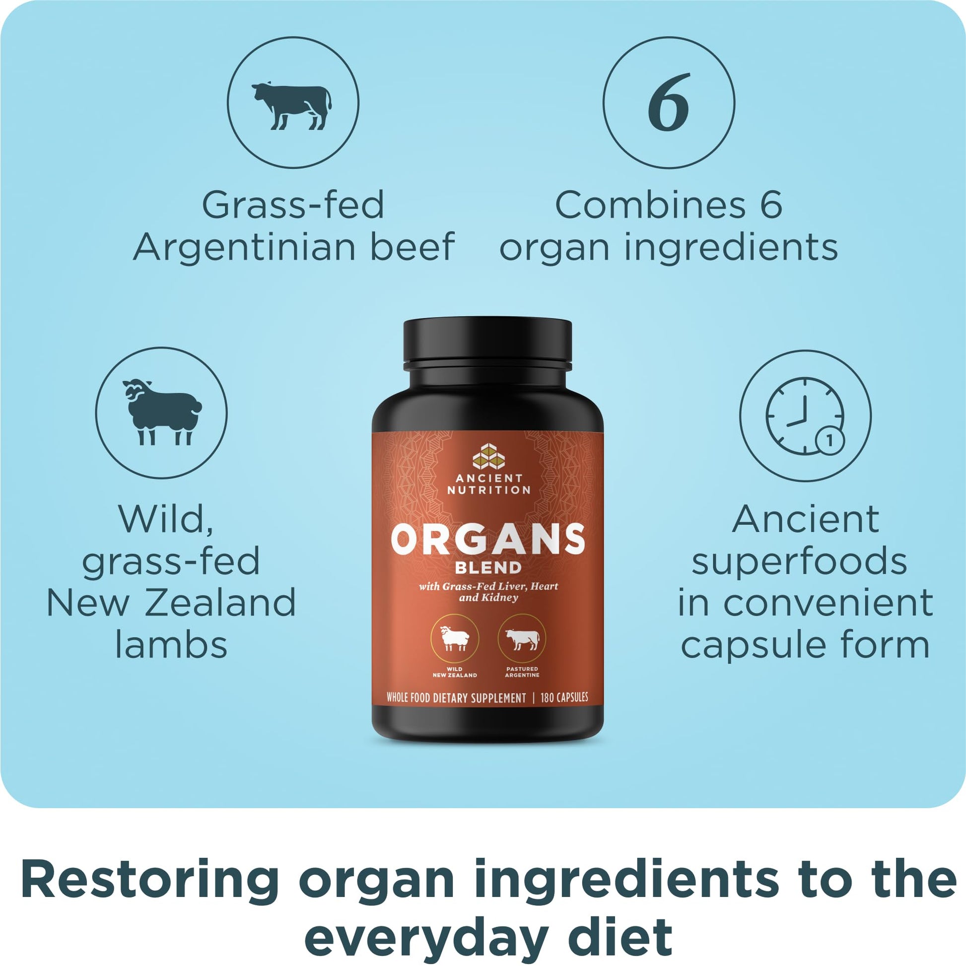 Authentic USA imported beef and lamb organ supplement bottle for immune support