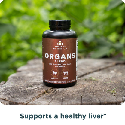 Ancient Nutrition multi glandular liver heart and kidney capsules size comparison