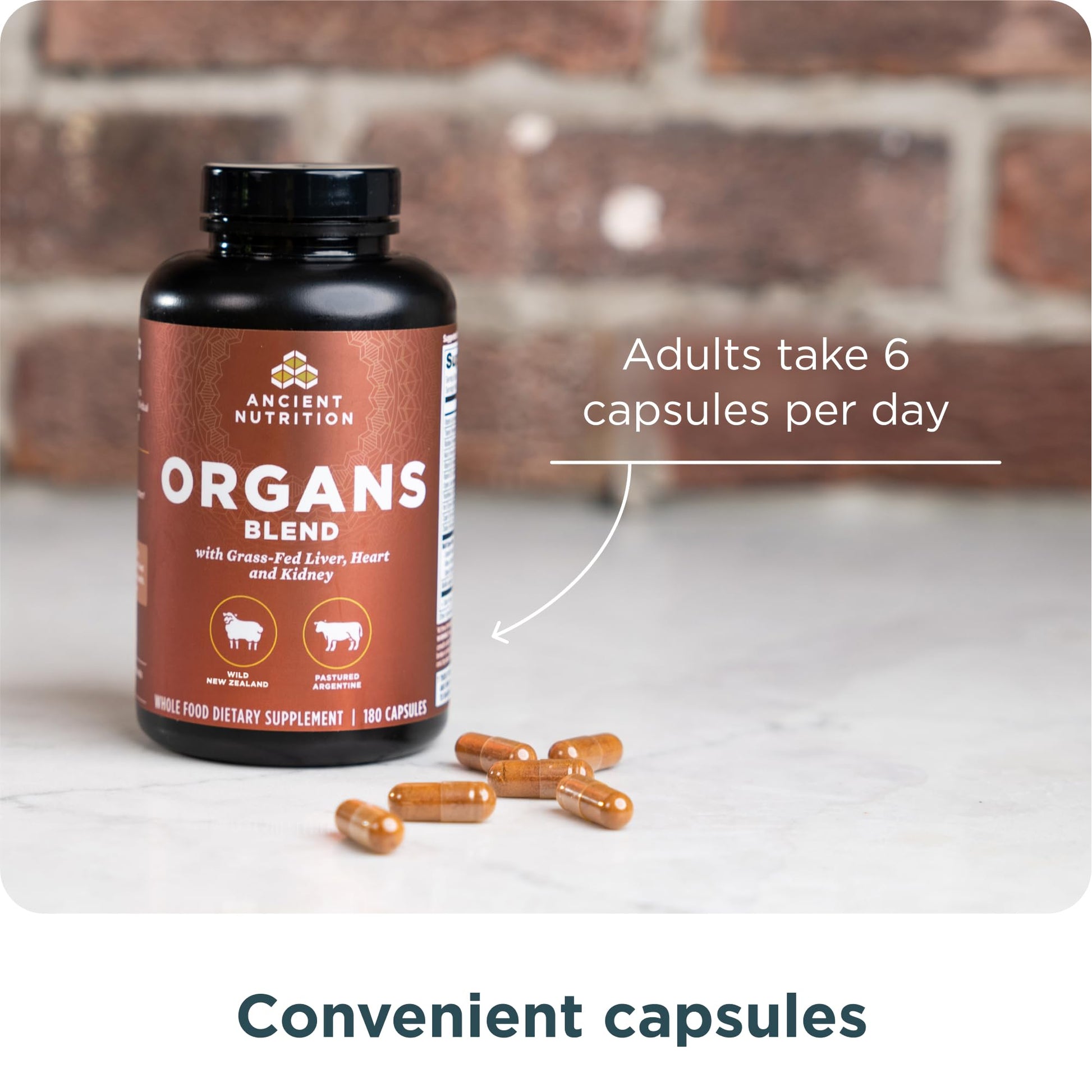 Dista USA multi organ complex capsules daily dietary serving illustration