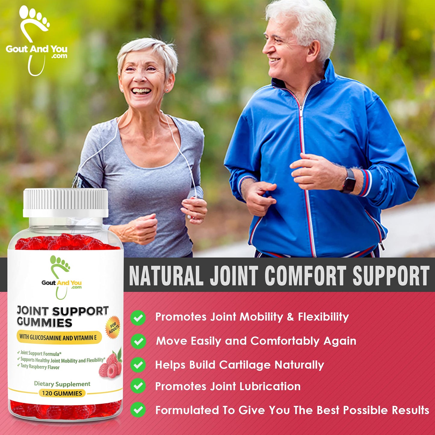 Gout And You vegetarian non GMO joint support chewable supplements 120 count bottle.