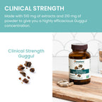 Himalaya Guggul sixty count bottle clinical wellness packaging