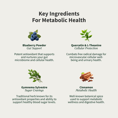 Back label of Snap Supplements Blood Sugar Support showing supplement facts and ingredient list.