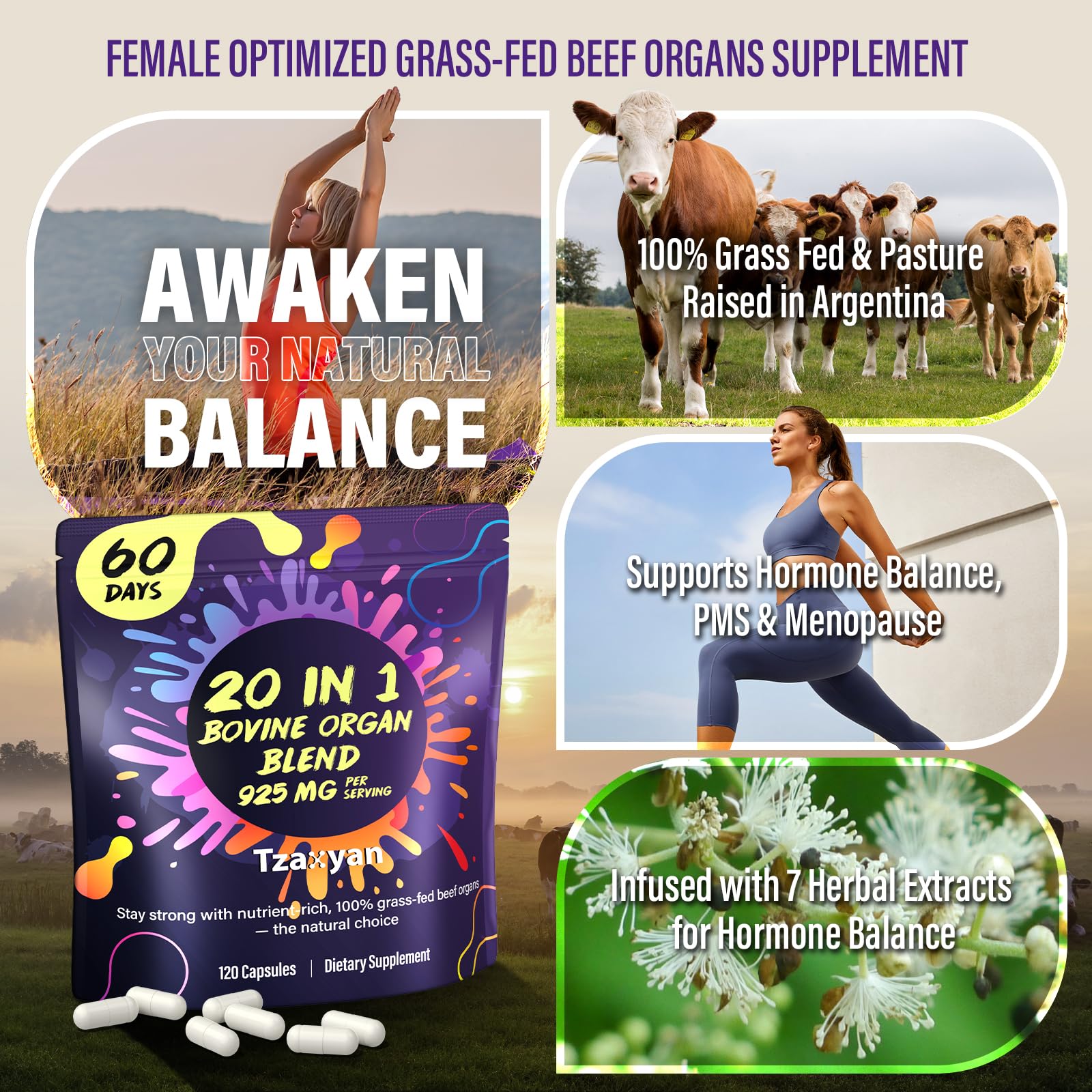 Close up of Tzaxyan bovine organ supplement capsule label