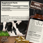 Natnect grass fed beef liver 120 capsule bottle angle view