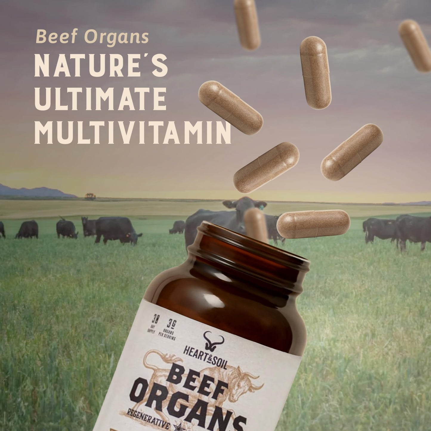 Full packaging label details of Heart and Soil freeze dried beef organs.