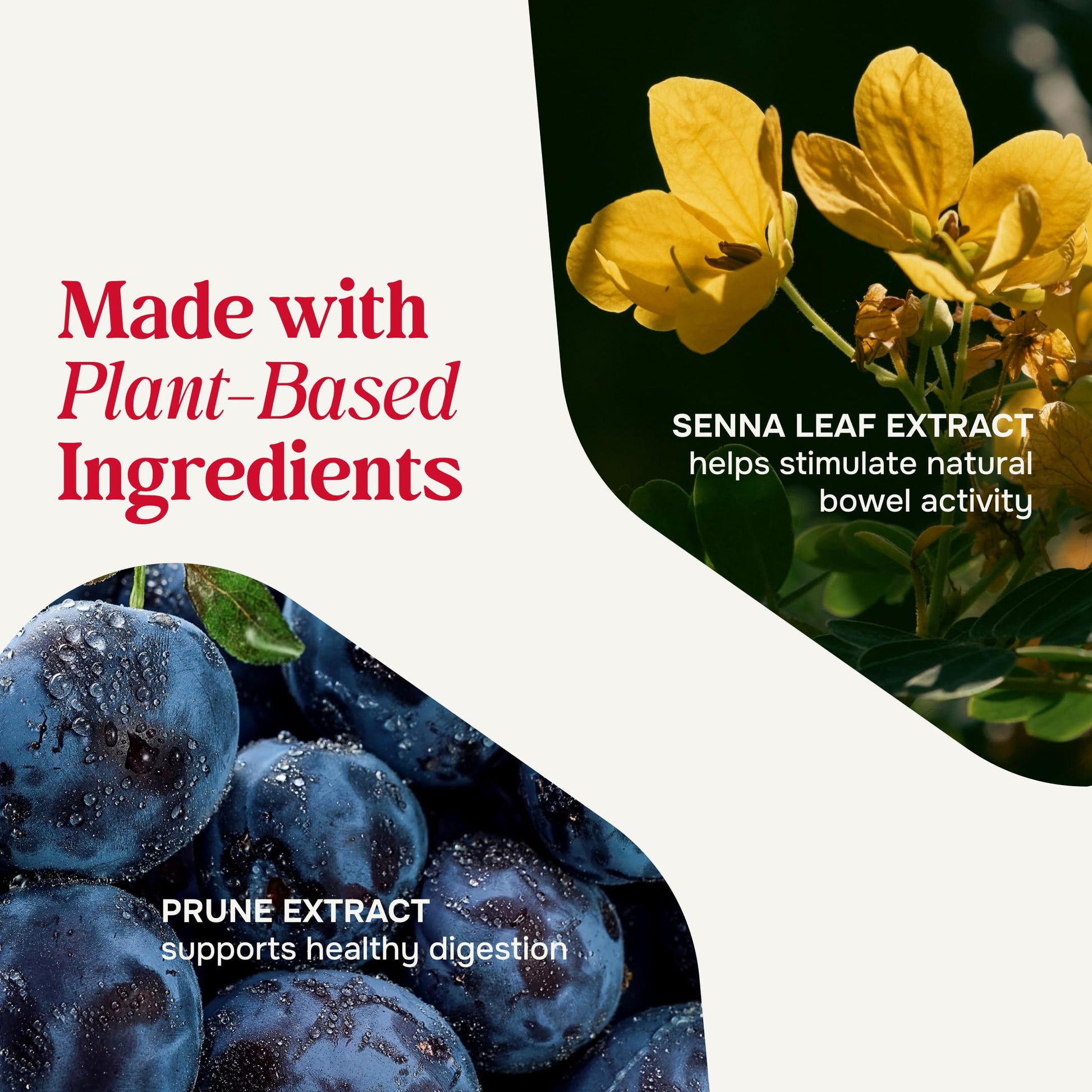 Close up of Prunelax bottle branding and 150 tablet count label