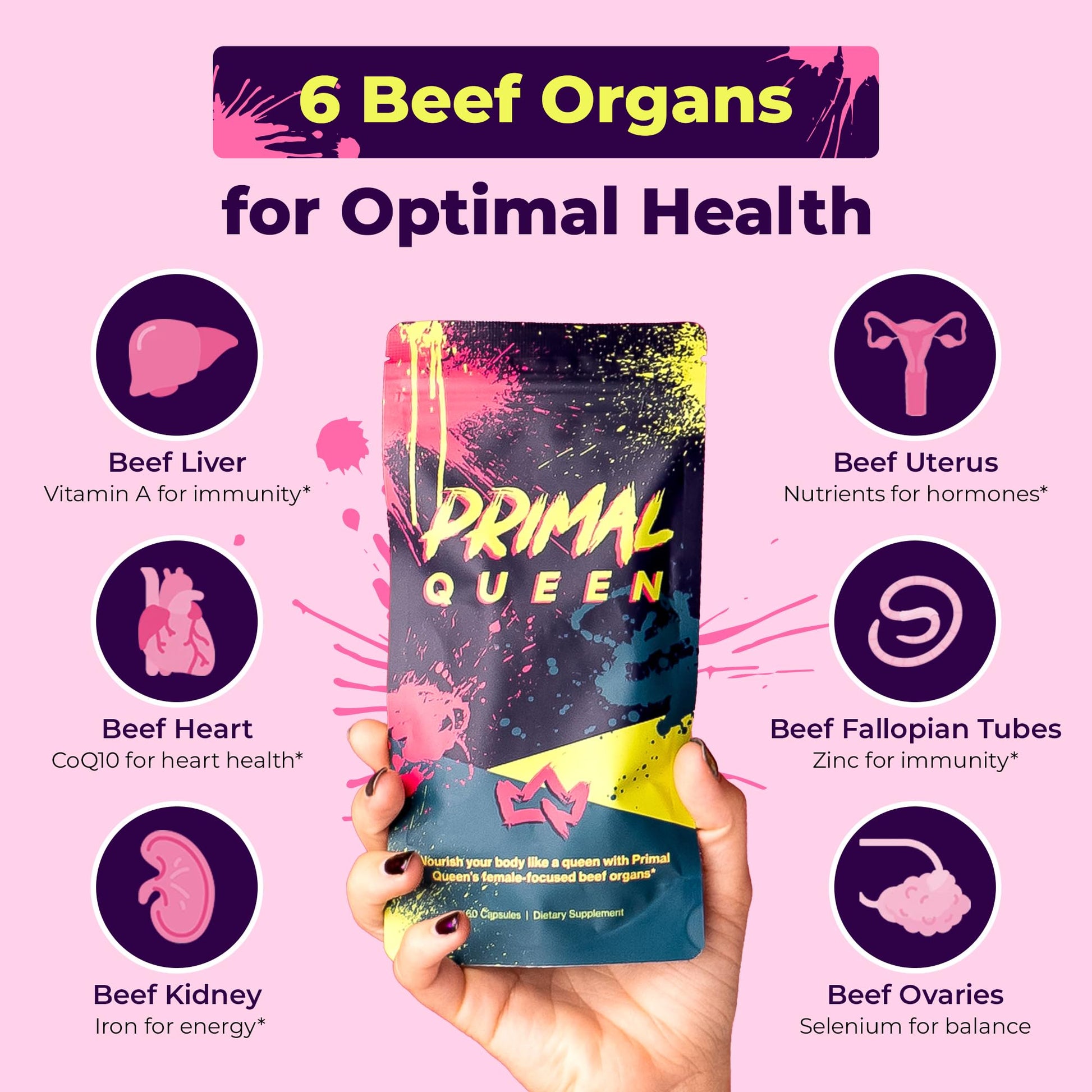 Supplement facts panel of Primal Queen showing freeze dried liver kidney heart and female organ ingredients