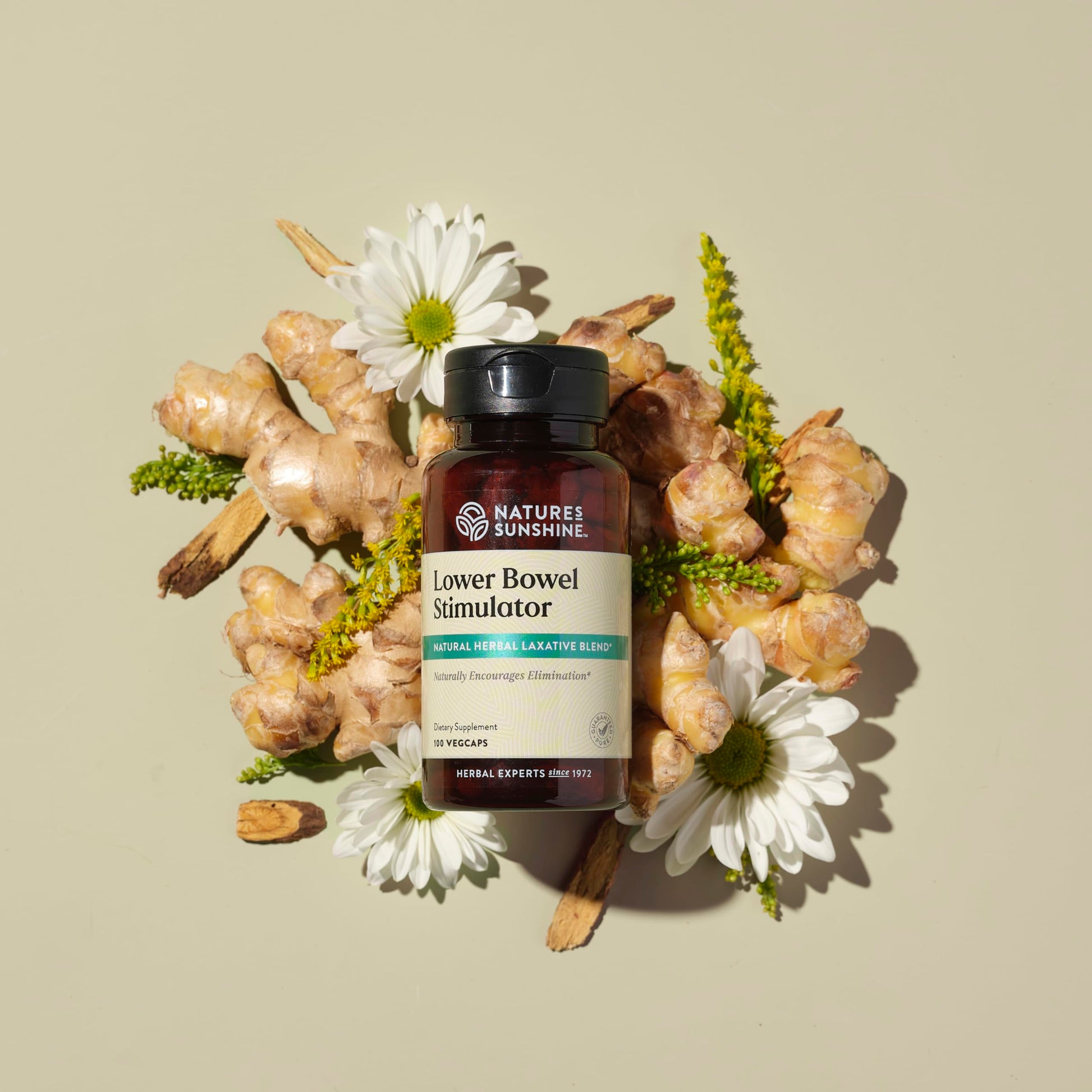 Nature's Sunshine Lower Bowel Stimulator packaging details and ingredients