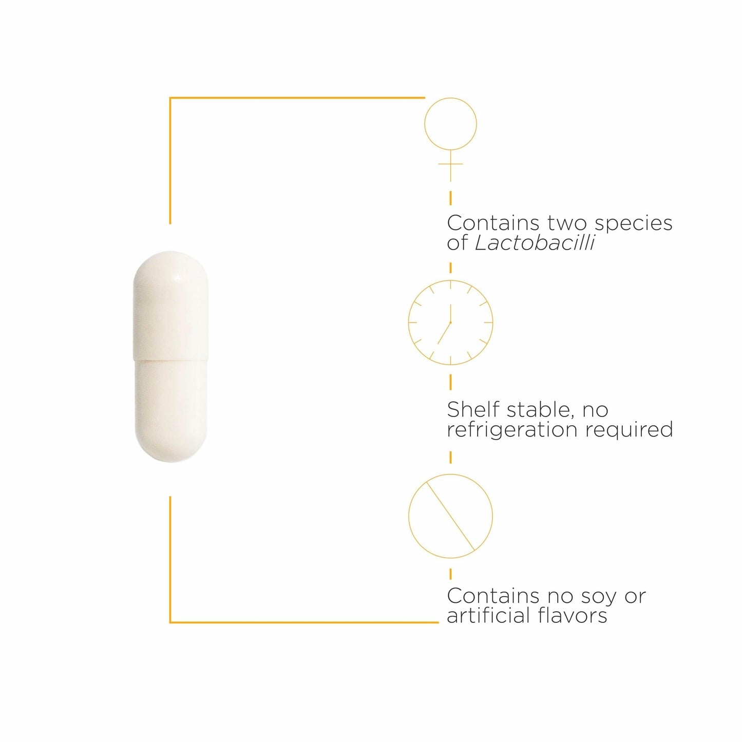 Back label of Pro-Flora feminine probiotic supplement highlighting Lactobacillus GR-1 and RC-14 strains.