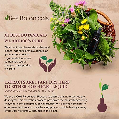Authentic USA imported fine herbal thyme leaf powder supplement bag side view showing details