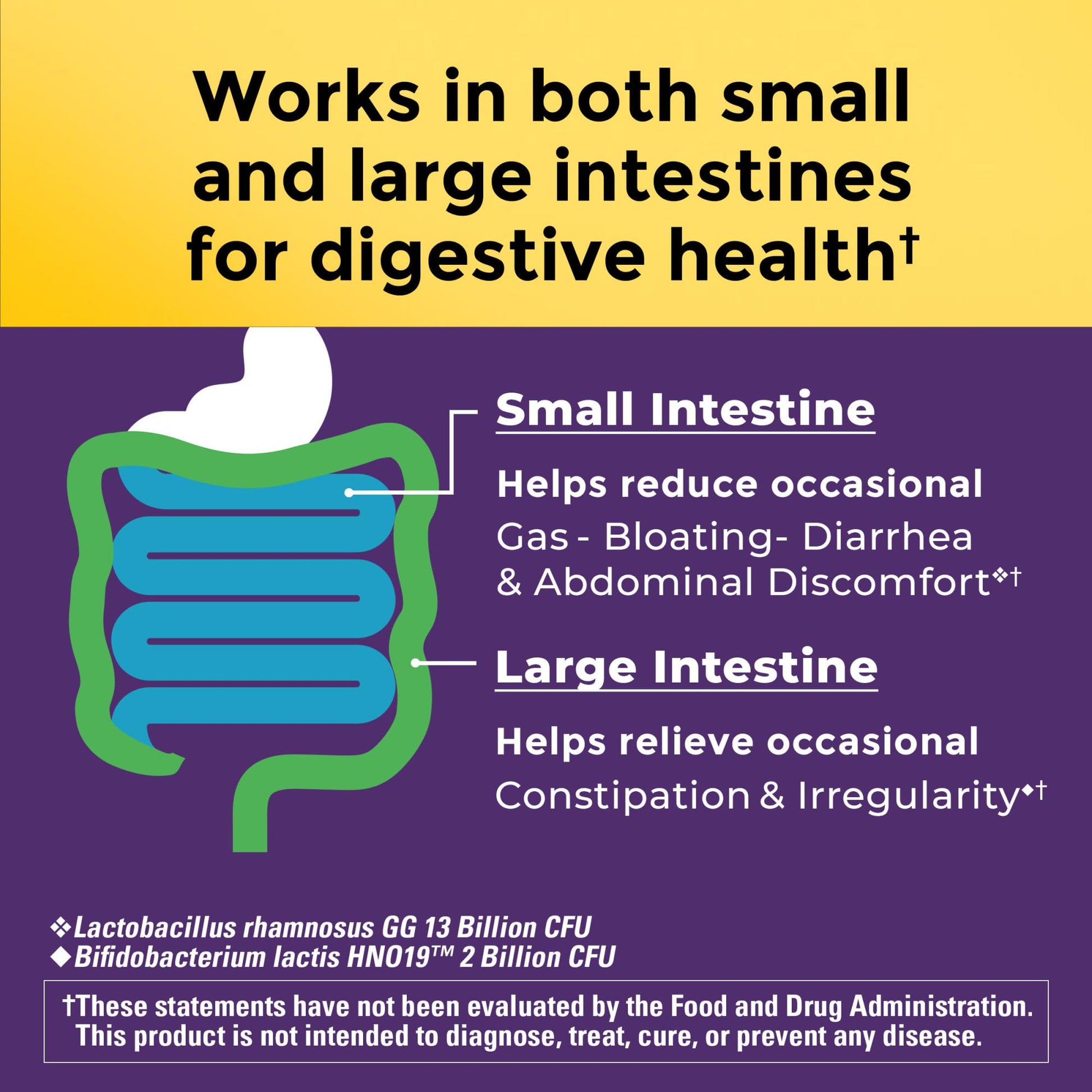 Authentic USA imported Nature Made gut health capsules displayed on a clean wellness-themed backdrop.