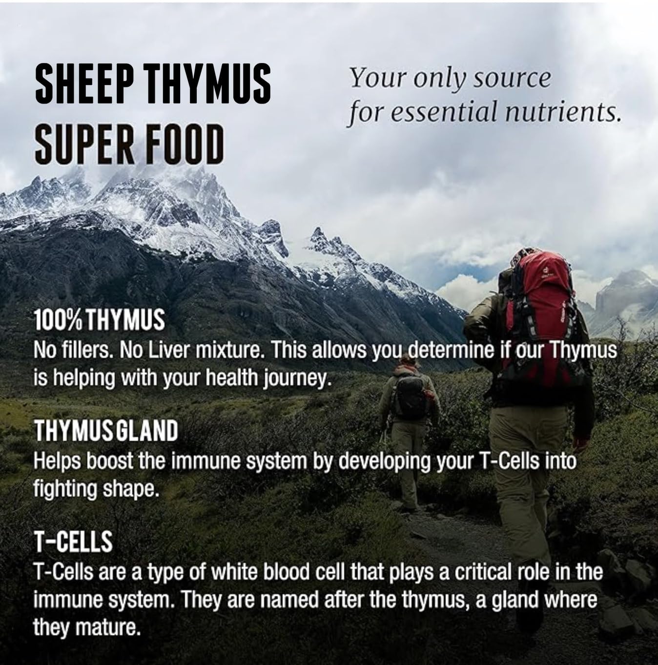 Back label view of One Earth Health Thymus Glandular indicating no fillers and clean ingredients.