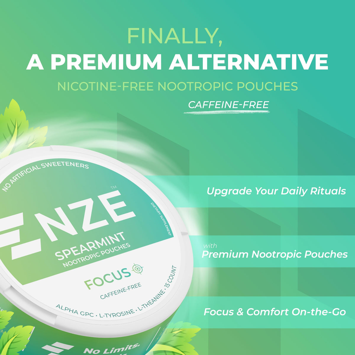 Nze Spearmint Nootropic Pouches 5 pack container
