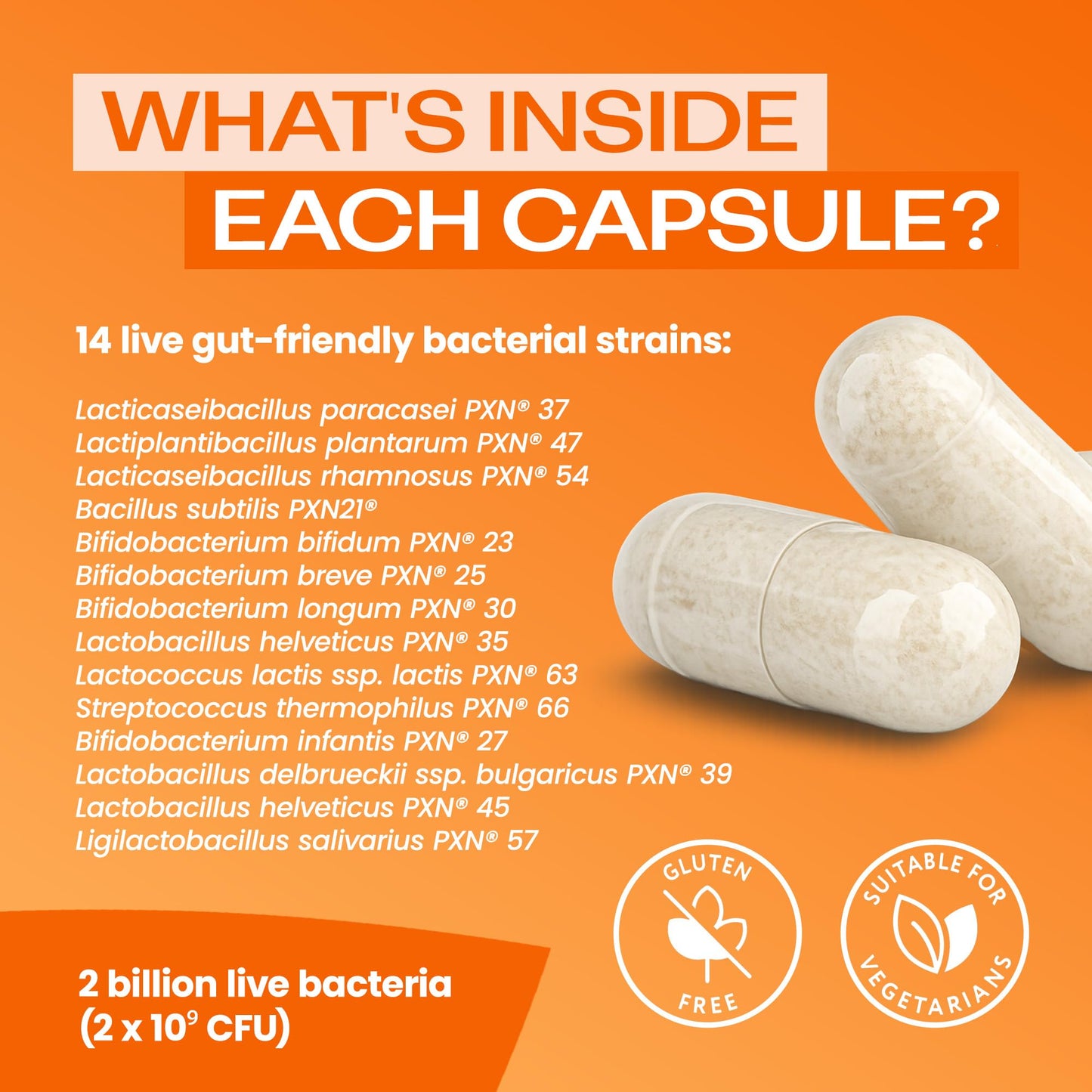 Authentic imported Bio-Kult microbiome supplement bottle placed on a clean surface.