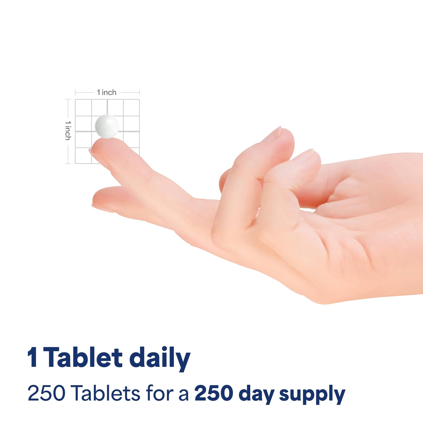 Top view of packaging for eight month supply probiotic acidophilus tablets