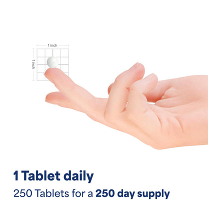 Top view of packaging for eight month supply probiotic acidophilus tablets