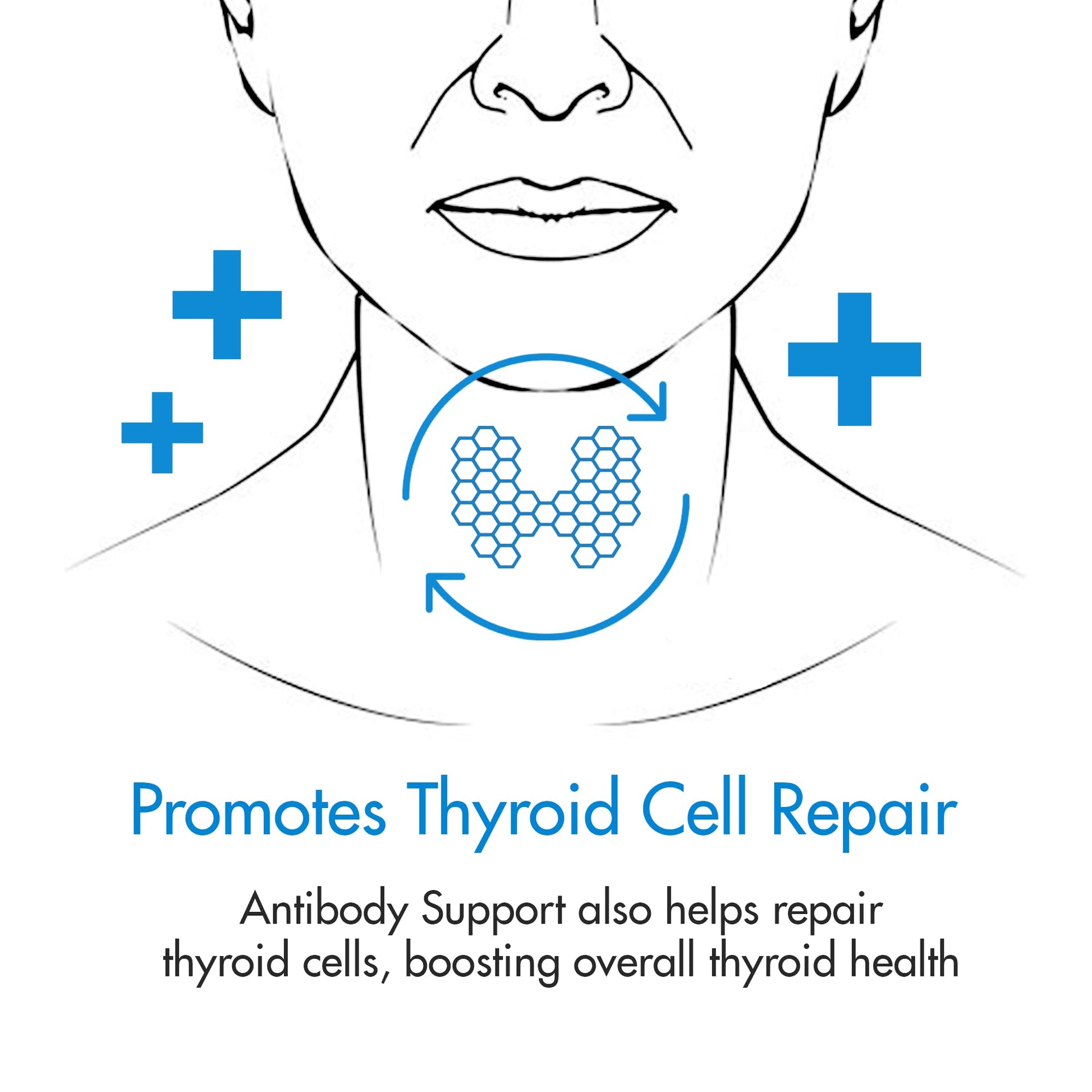Thyroid Specific Formulations Antibody Support bottle with seal of authenticity